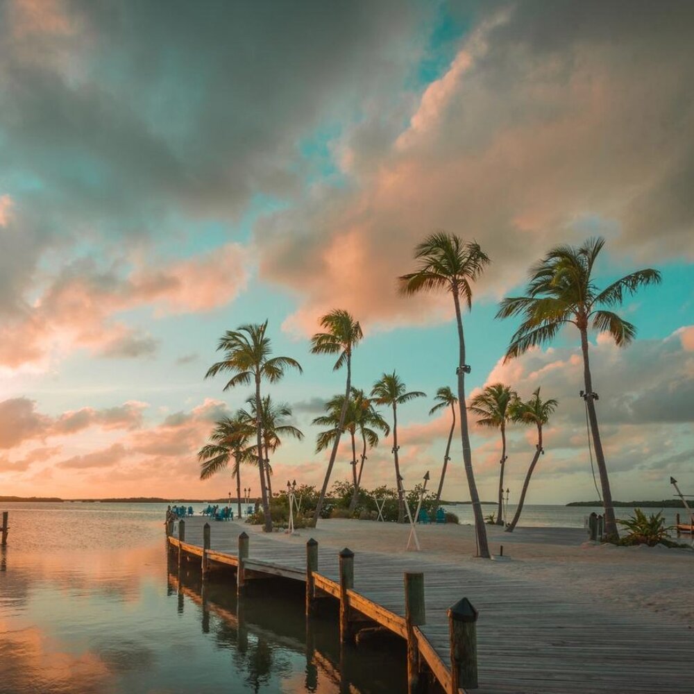 ❤️ for LIVE notifications- Unlisted preloved items, $3 - $5 starts POSH LIVE